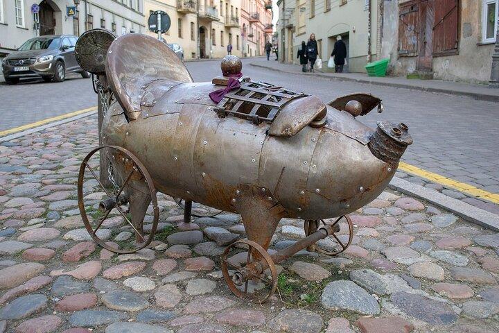 Vilnius Private Walking Tour With A Professional Guide