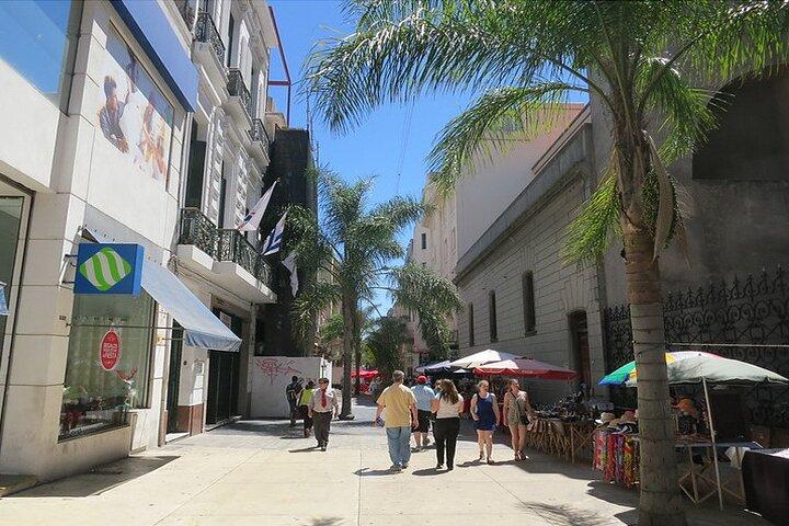 Premium Day Tour To Montevideo From Buenos Aires