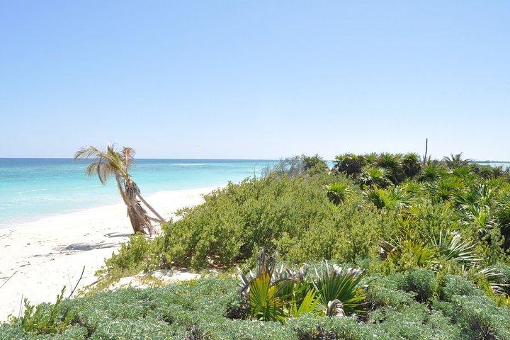 Private Full-Day Guided Tulum Coba and Cenote Tour with Lunch