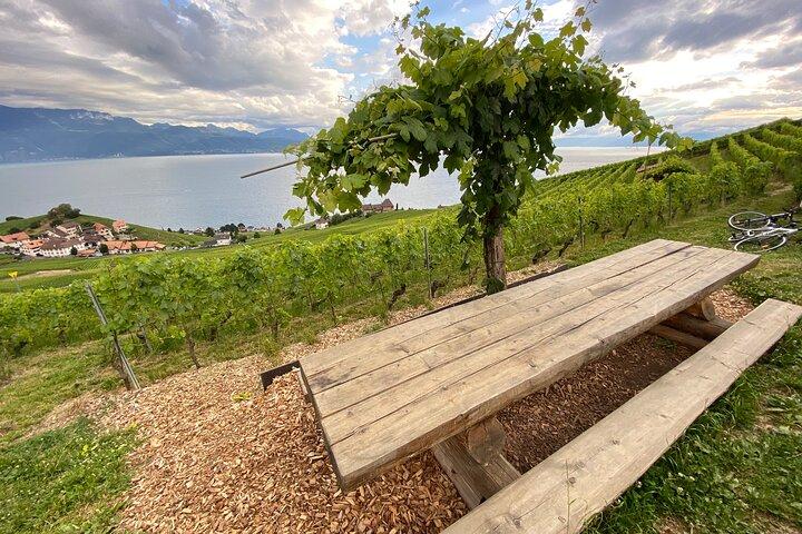Vine Stories: Lavaux & Lutry wine walk