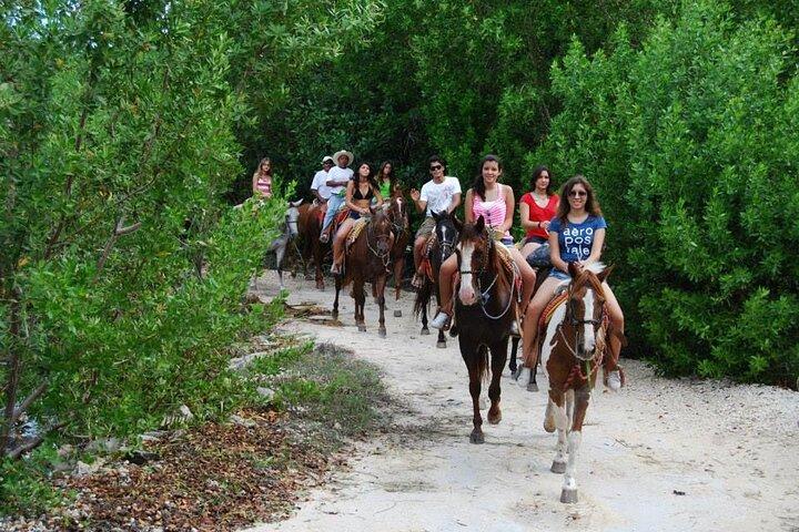 Stroll the Jungle Trails on our Horseback Riding, with transport