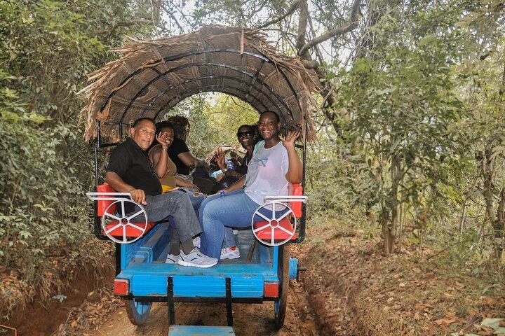 Sigiriya Village Tour and Lunch