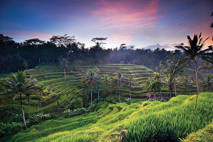 Bali Highlights : Nature, Waterfall, Rice Terraces and Volcano