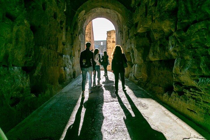 Private Tour of the Colosseum Forums Palatine Hill & Ancient Rome
