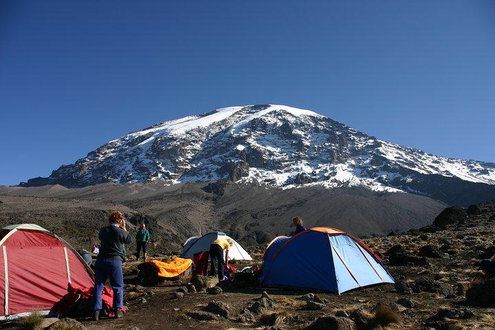 Machame Route 7 Days 6 Nights /Kilimanjaro Climb