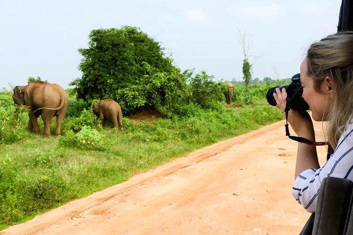 Mirissa to Ella Shuttle & Udawalawe Safari Drive with Breakfast