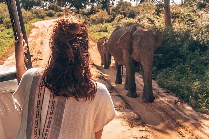 Mirissa to Ella Shuttle & Udawalawe Safari Drive with Breakfast