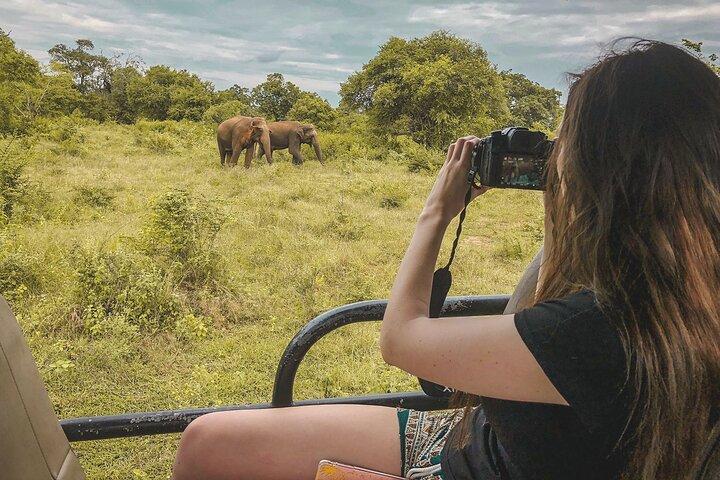 Mirissa to Ella Shuttle & Udawalawe Safari Drive with Breakfast