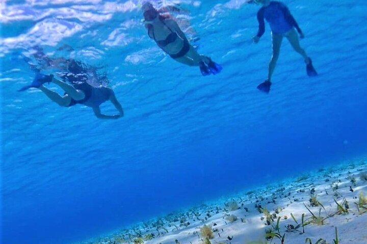 Full-Day El Cielo Snorkel Tour in Cozumel with Transportation and Lunch