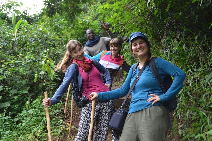 1 Daytrip to Materuni Waterfalls in Moshi