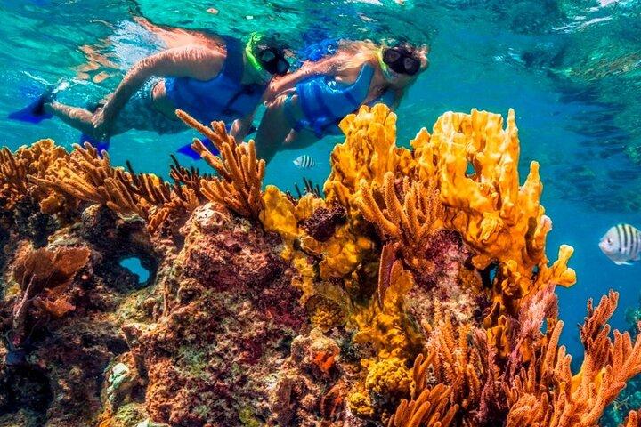 Full-Day El Cielo Snorkel Tour in Cozumel with Transportation and Lunch