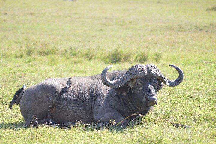 5 Days Trekking to Mt. kenya, Sirimon-Chogoria Route.