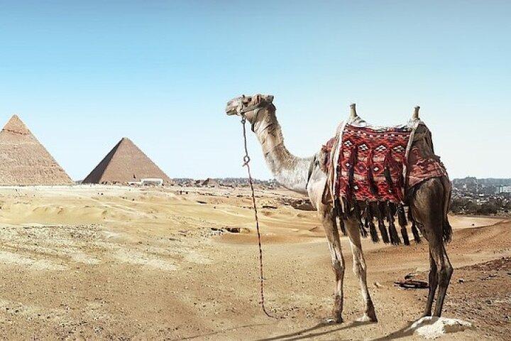 Turning into Pharaoh King while riding a Camel