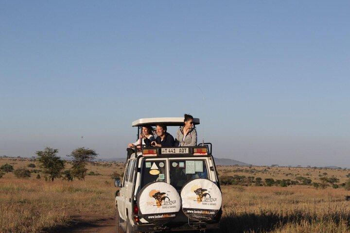 11 Days Mount Kilimanjaro Hiking and Private Tanzania Lodge Safari
