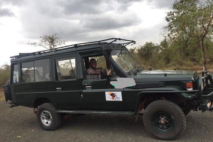 11 Days Mount Kilimanjaro Hiking and Private Tanzania Lodge Safari
