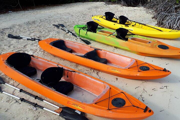 Aruba Glass Bottom Kayak Tour through the Mangrove Forest