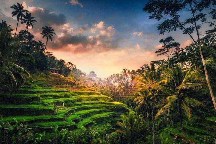 Bali Highlights : Nature, Waterfall, Rice Terraces and Volcano