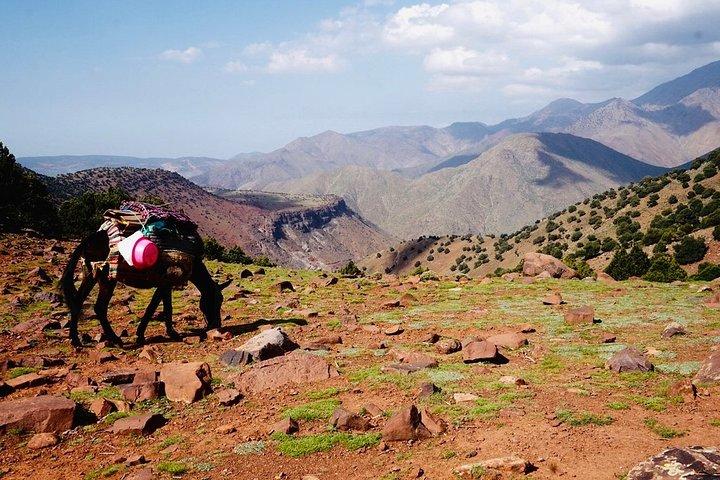 Trekking In the Atlas Mountains, Valleys and Berber Villages