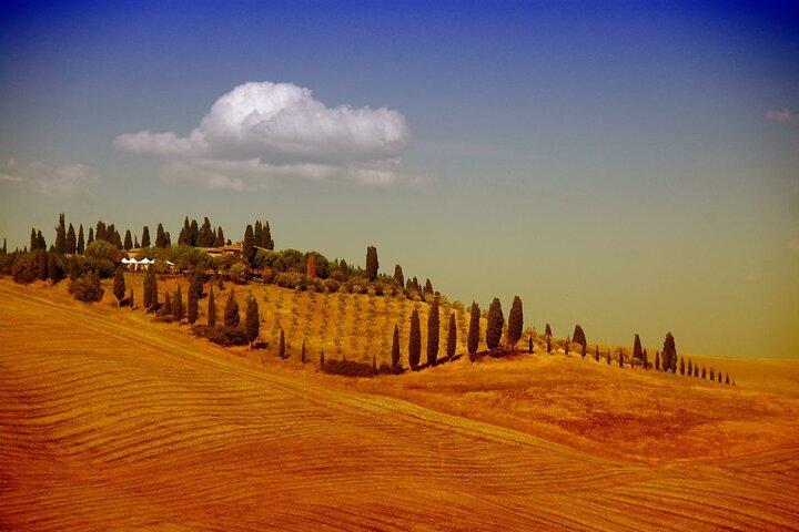 Florence to San Gimignano and Siena Tour