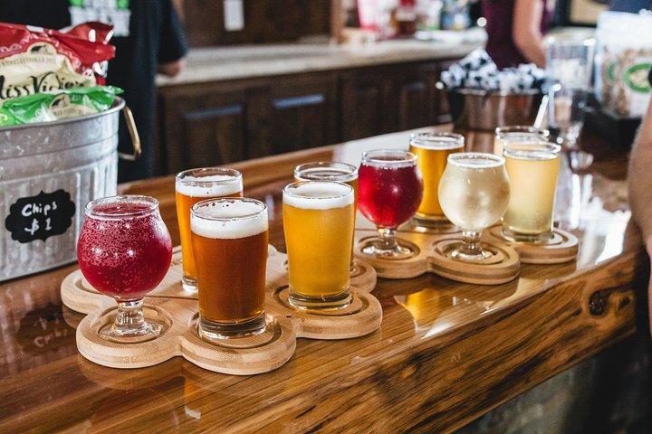 Private Tour of Amsterdam's best street food with drinks tasting