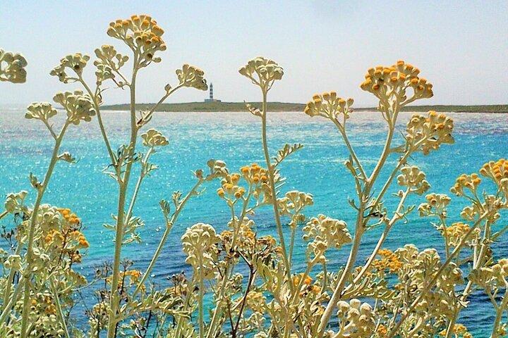 Half-Day Private Menorca Sightseeing Tour