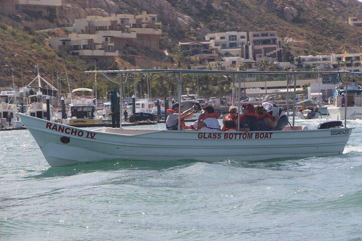 Cabo San Lucas Bay Glass Bottom Boat Tour