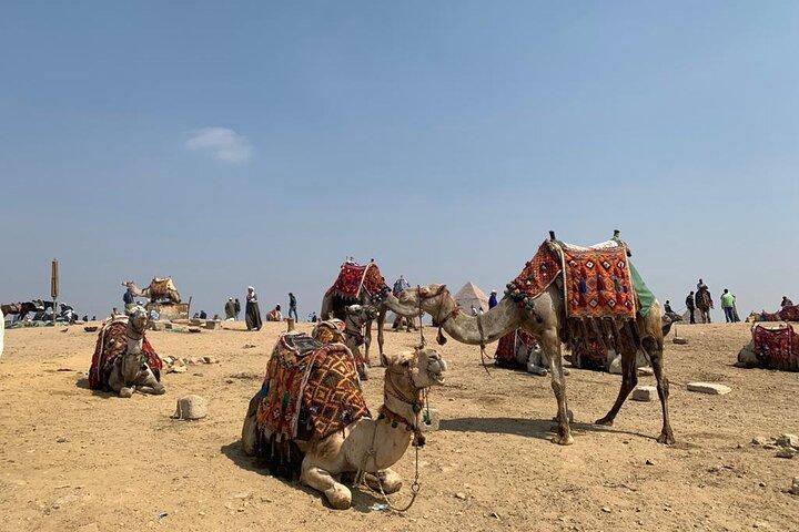Full-Day Private Tour to Pyramids of Giza and Egyptian Museum