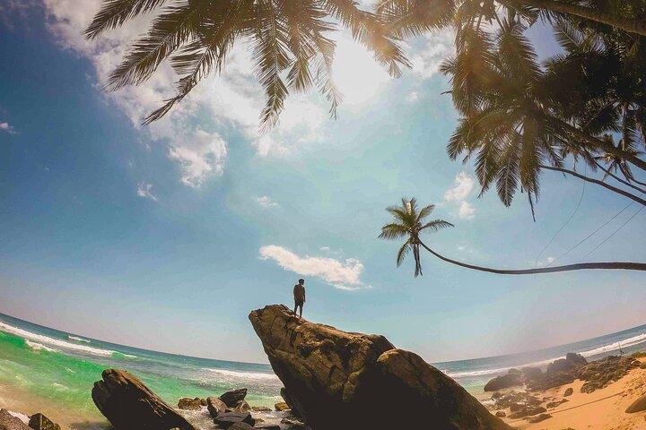 Southern Coast Highlights from Panadura