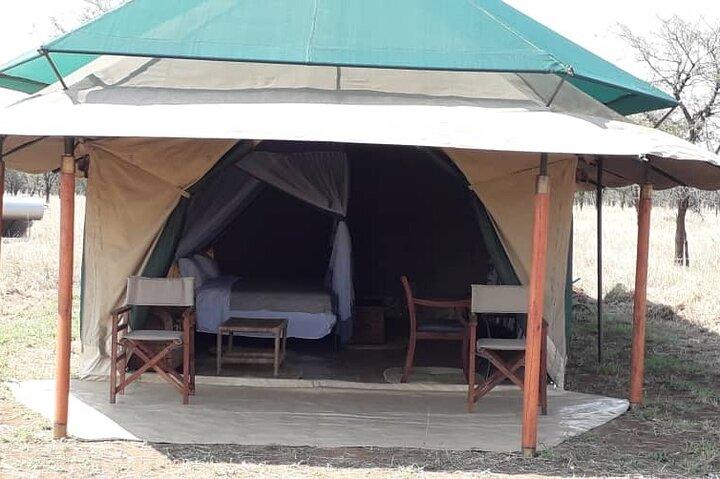 6-Day Best of Tanzania Wildlife Safari- Comfort