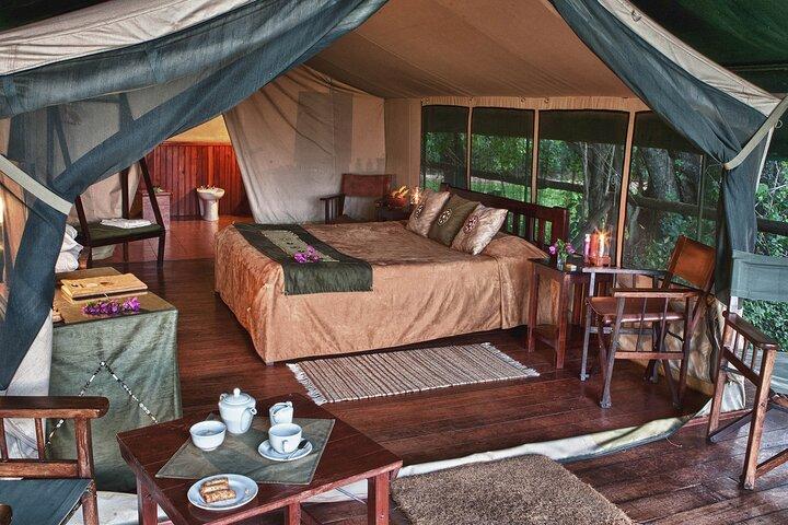 6-Day Best of Tanzania Wildlife Safari- Comfort