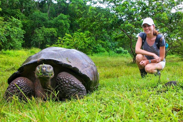 4 days Galapagos Essential Budget Tour