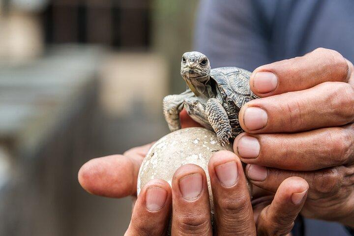 4 days Galapagos Essential Budget Tour