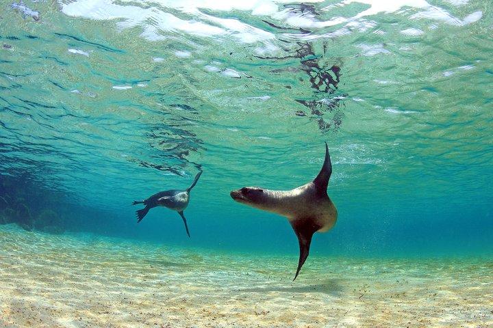 4 days Galapagos Essential Budget Tour