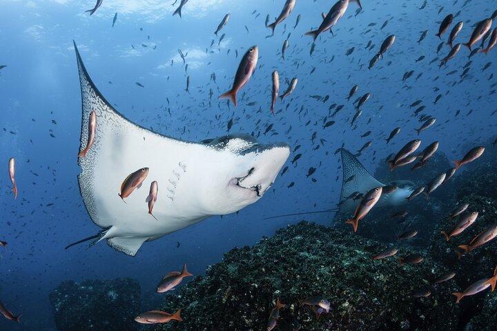 4 days Galapagos Essential Budget Tour