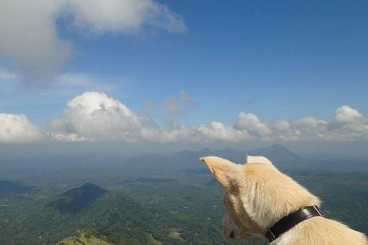 Knuckles Mountain Trekking Private Tour
