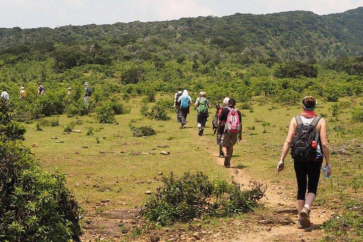 Knuckles Mountain Trekking Private Tour
