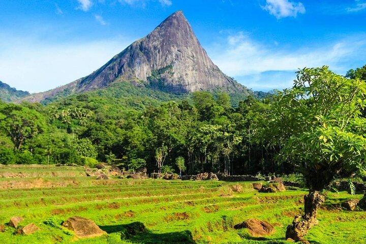 Knuckles Mountain Trekking Private Tour