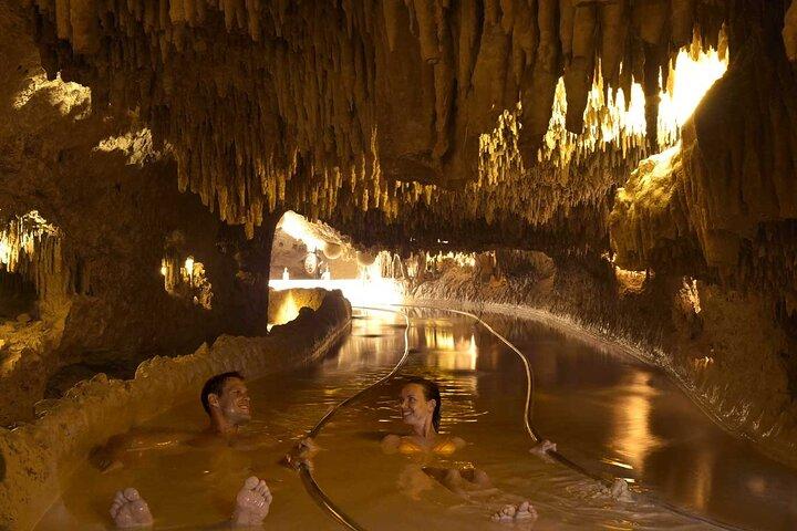 Day of wonder at Xenses! Round Transportation From Cancun
