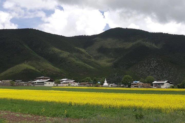 Private Overnight Tour to Tiger Leaping Gorge and Shangri-La from Lijiang