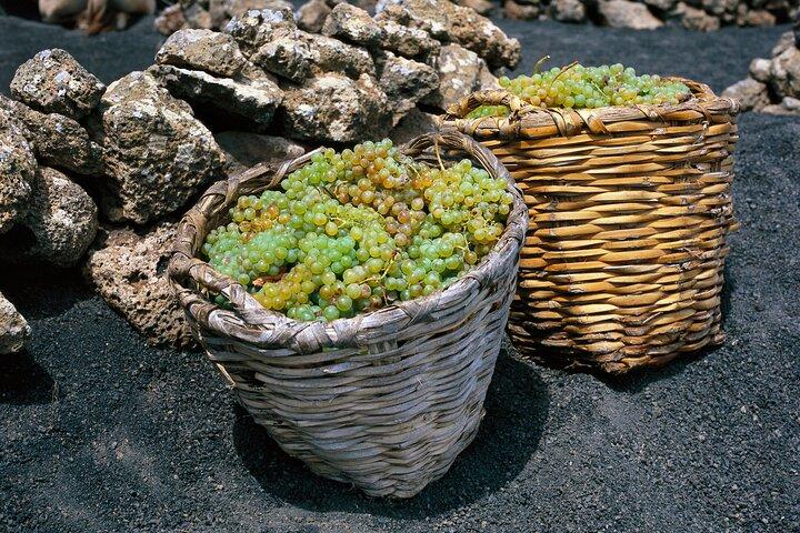 Vineyards of La Geria hiking tour