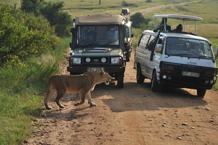 Nairobi National Park Tour