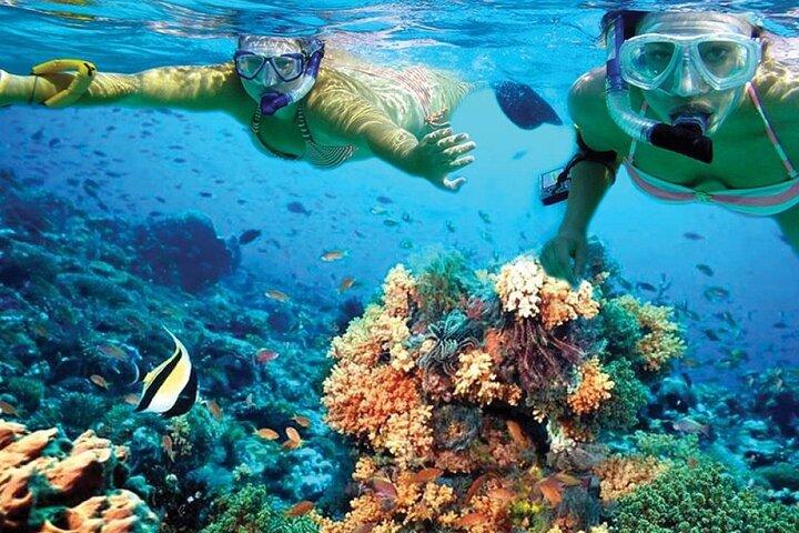 Catamaran Sailing to Isla Mujeres with Snorkeling, Lunch & Open Bar included