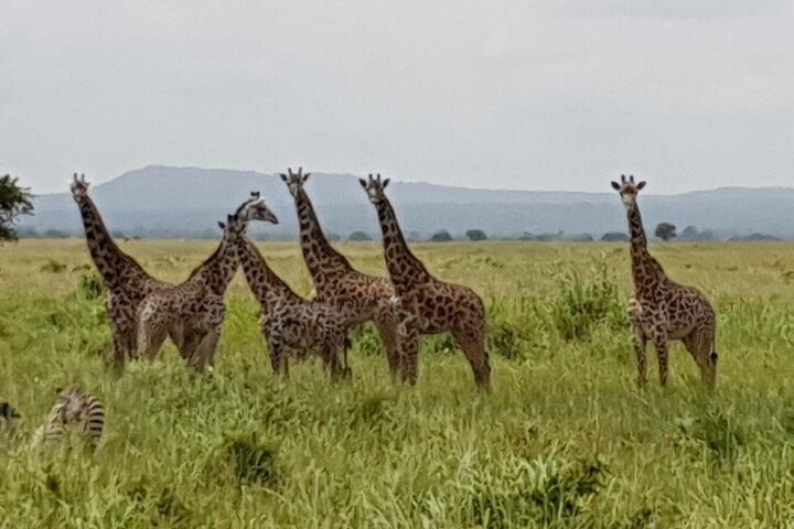 3 Days Nyerere NP [Selous GR] Game, Walking and Boat