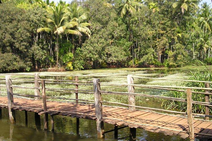 Highlights of South Goa with Spice Plantation Tour (Guided Fullday Tour by Car)
