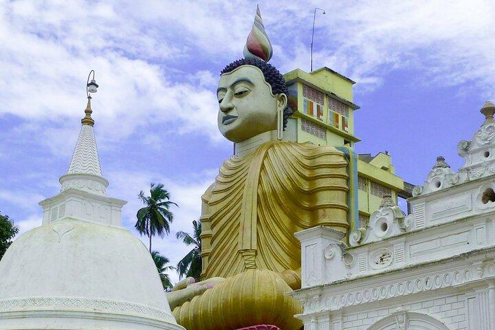 Hidden Temples and Secluded Coastlines Tour from Galle