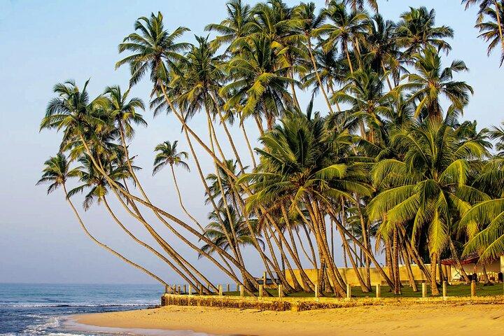 Hidden Temples and Secluded Coastlines Tour from Galle