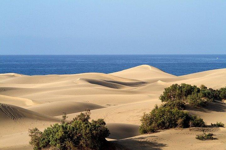 Private 5-hour Tour of Maspalomas