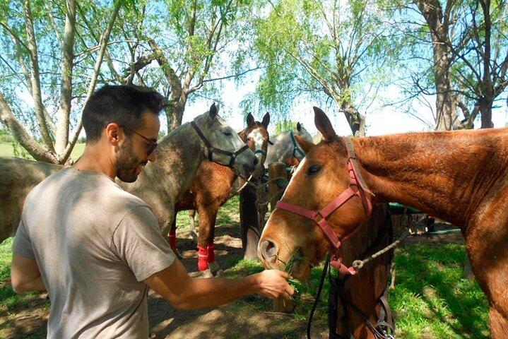 Horseback Riding Adventure with Asado in Buenos Aires!