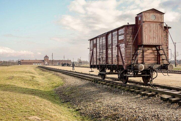 From Krakow: Auschwitz & Wieliczka Salt Mine Guided Tour