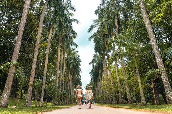 Kandy Day Tour from Colombo